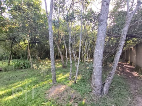 Image 37 - 239663